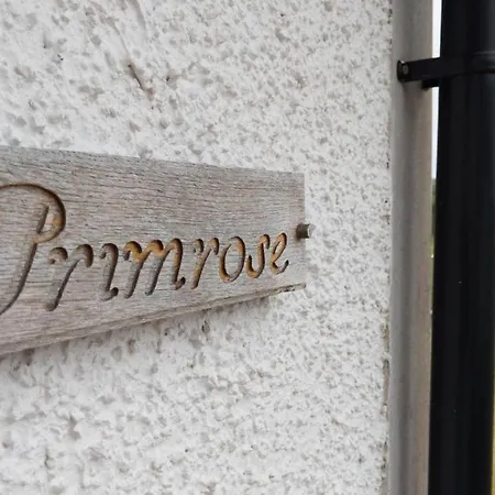 Primrose *